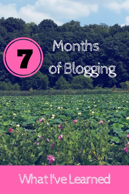Seven Months of Blogging.jpg